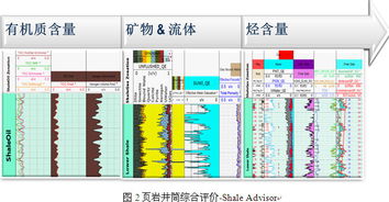 斯倫貝謝SIS中國(guó)網(wǎng)站 卓越的軟件產(chǎn)品與服務(wù)，賦能能源行業(yè)數(shù)字化未來(lái)